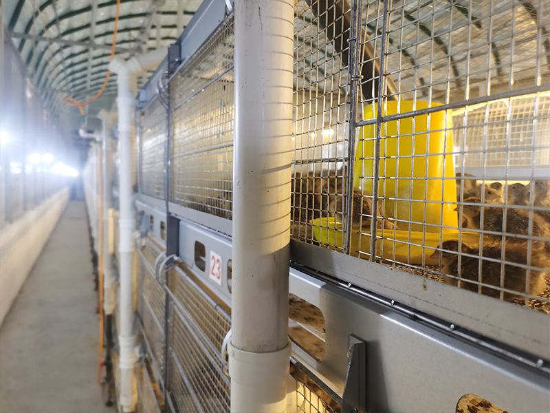 層疊式自動化養(yǎng)殖設備